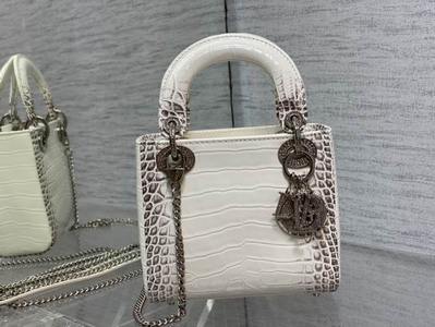 DIOR Handbags 544